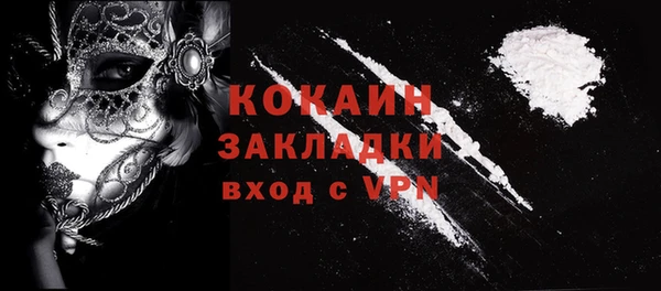 дурь Бронницы