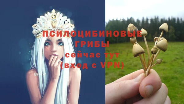 дурь Бронницы
