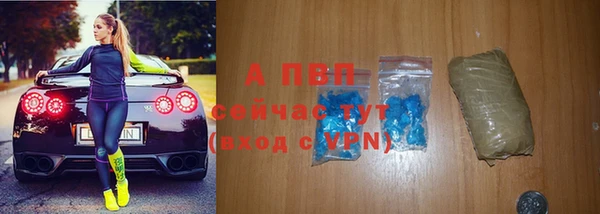 СК Верея